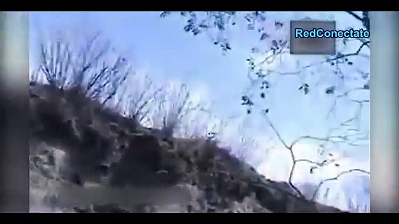 5 Apariciones de Brujas REALES Captadas En Video | MUY ATERRADOR