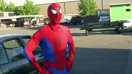 Amazing SPIDER-MAN Fights Crime