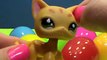 Littlest Pet Shop LPS Cats surprise eggs unboxing toys Kitties Kittens Gatos sorpresa huevos
