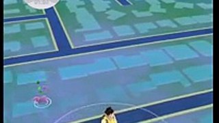 Pokemon Go: A Wild Charizard appears 1912cp!!! Rage mode