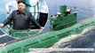 North Korea 'building secret NUCLEAR submarine for stealth strike' amid tensions with USA