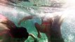 Pretty Girls Underwater swimming- slow motion - Xcaret, Caribbean Sea - Maya Riviera