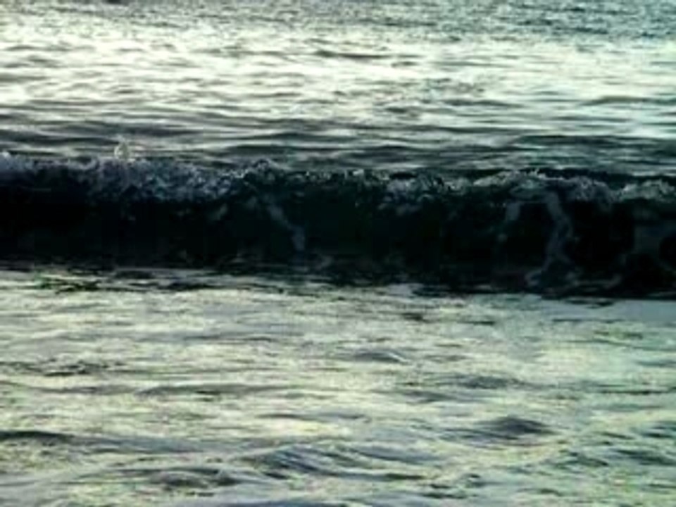 Plage de Porto