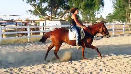 !!Horse Riding Dares!!