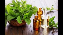 Древний аромат пачули и его применения в ароматерапии и косметологии