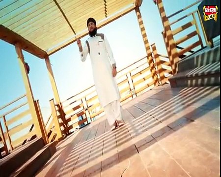 Wohi Rab Hai - Hafiz Tahir Qadri - 2017 New Naat HD