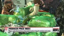Surge in agricultural produce prices leads to jump in August's producer price index