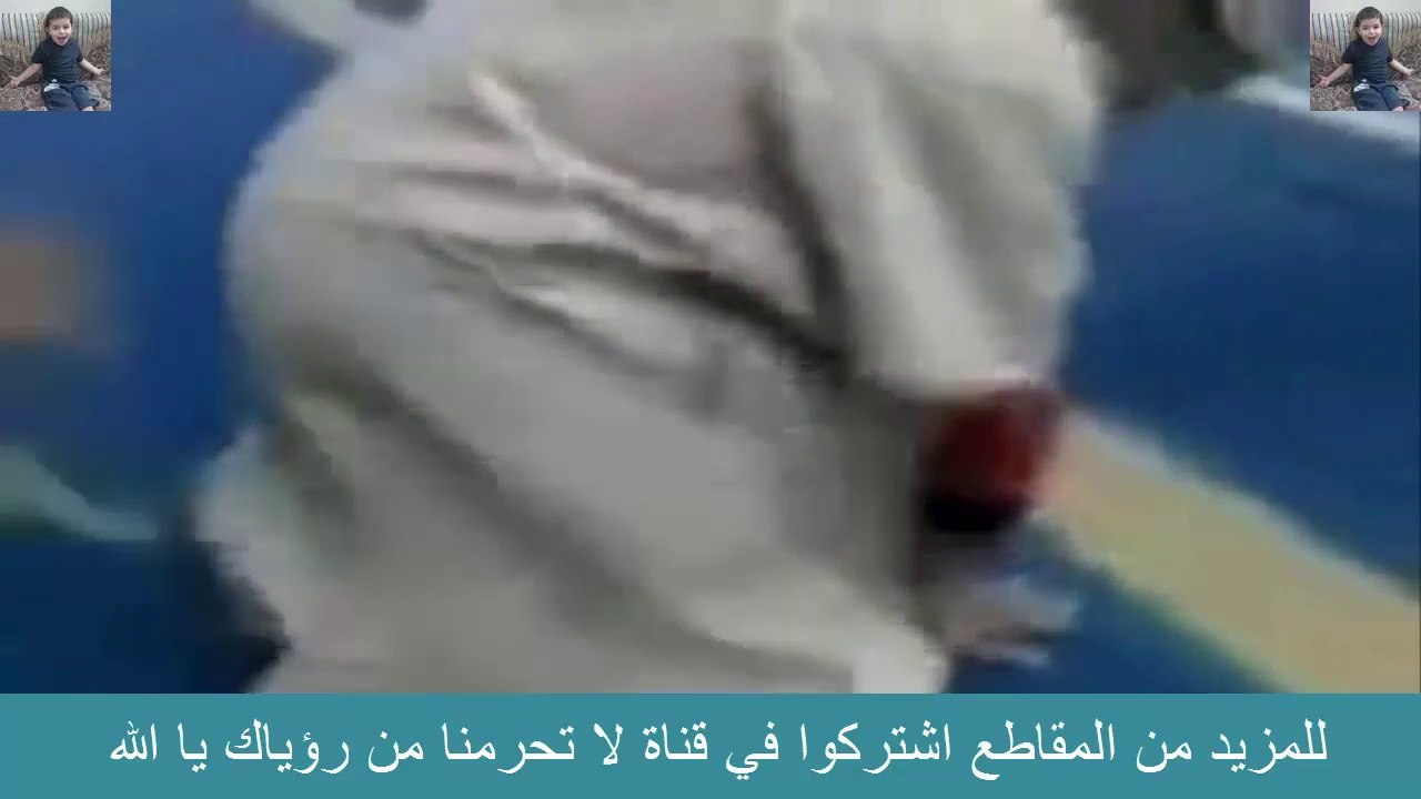 لو كنت تصلي وجاءك هذا القط  كيف تتصرف