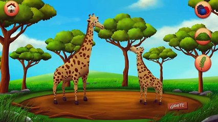 Download Video: Learn Animals Names & Sounds for Children - Learn Wild Animals - English Class Animal Name And Sound