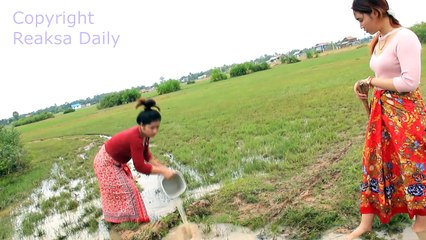 Amazing Beautiful Girls Catch Fish by Hand in the Rice Field in Siem Reap