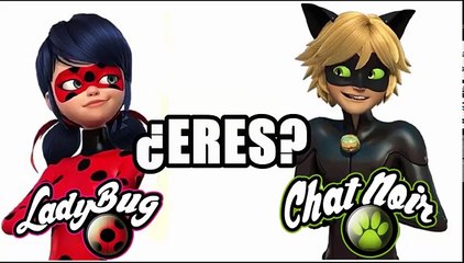 ¿Eres Ladybug o Chat Noir? - Test de personalidad