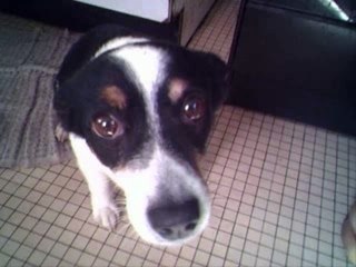 Tous ceux que j'aime