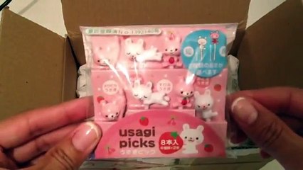 Unboxing The Smart Bento Box