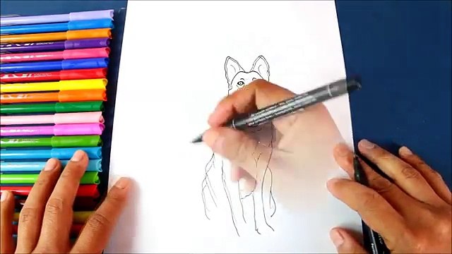 Cómo Dibujar un Perro Pastor Alemán paso a paso | How to draw German Shepherd Dog Breed