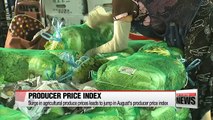 Surge in agricultural produce prices leads to jump in August's producer price index