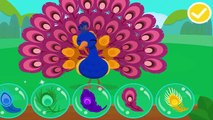 Learn Animal Traits and Behaviors with Friends of the Forest by BabyBus Kids Games