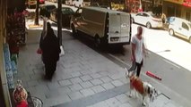 Çalınan Köpeğinin Yerini Söyleyene Bin TL Ödül Veriyor