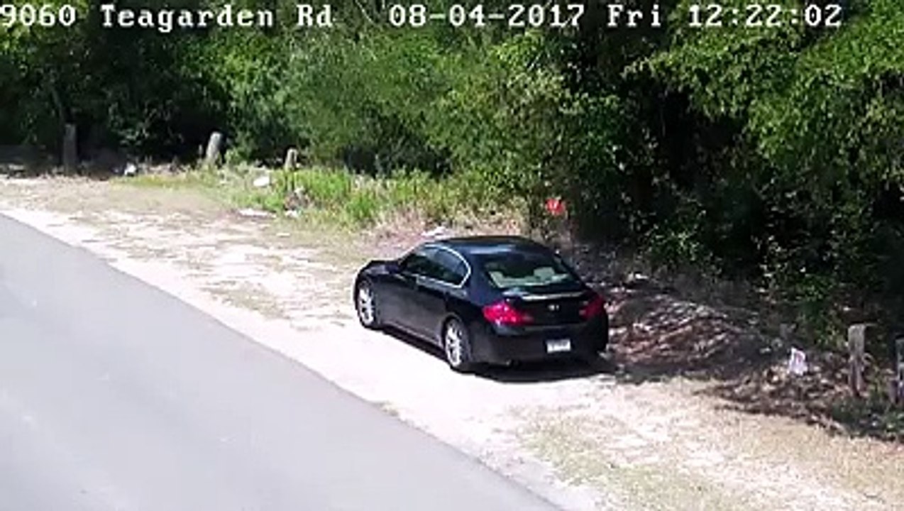 Un homme abandonne son chien au bord de la route