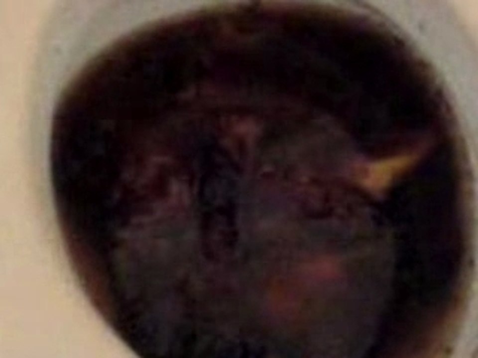 MOV00001