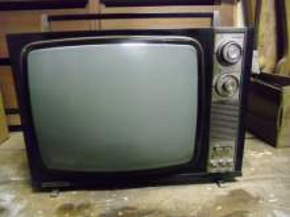 Il bordello televisivo.