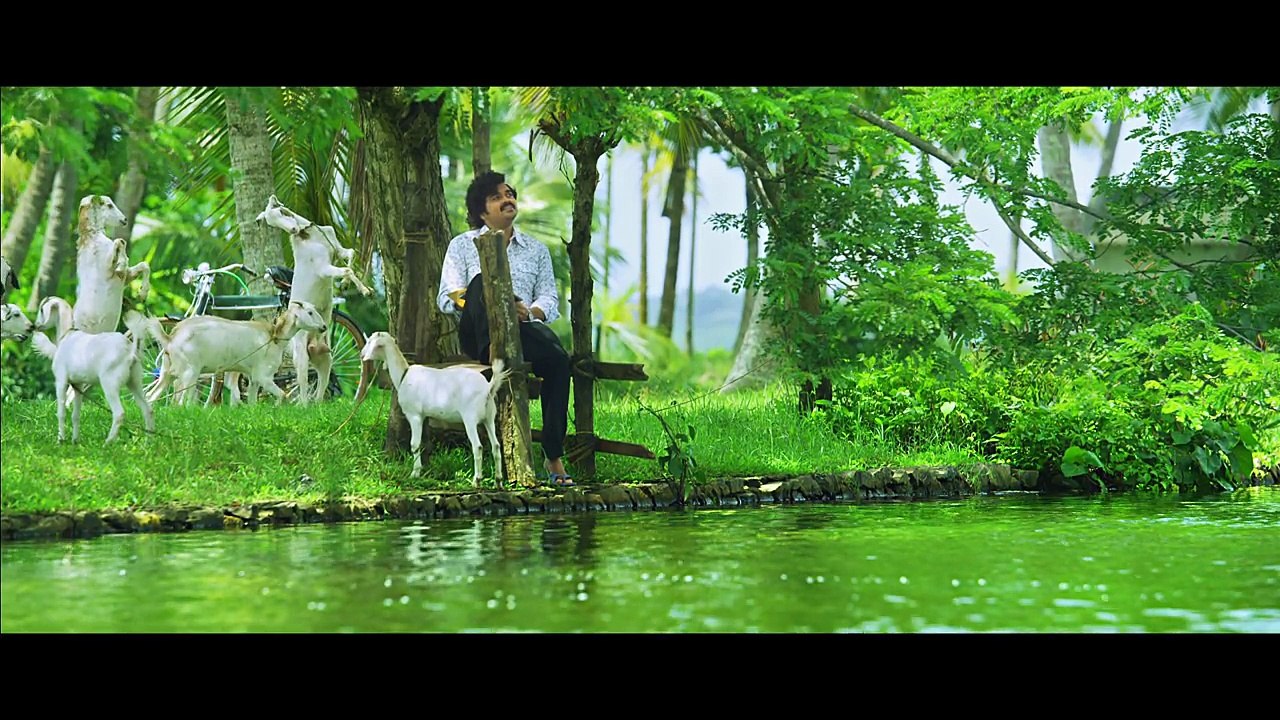 Basheerinte Premalekhanam|Penne Penne Song Video|Farhaan Faasil,Sana Althaf| Vishnu Mohan Sithara|H