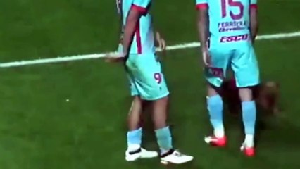 Argentine : un petit chien vole la vedette dans un match de football
