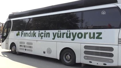 Ordu'dan Giresun'a "Fındık İçin Yürüyoruz" Yürüyüşü