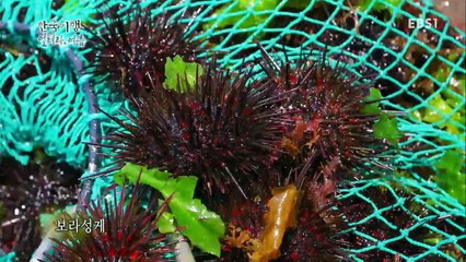 한국기행 - Korea travel_얼려라,여름 2부 이 맛을 알아?_#002