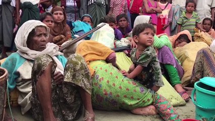 Gobierno birmano desconoce el porqué del éxodo rohinya