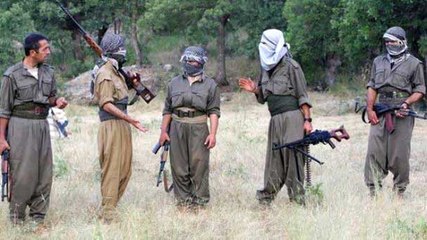 Siirt Valisi Açıkladı: PKK'nın Akmeşe Grubu Tamamen İmha Edildi