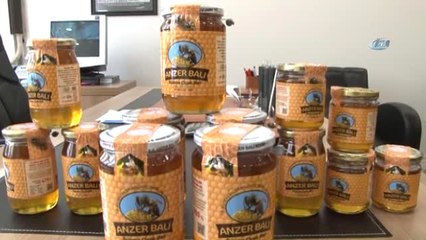 Anzer Balı'nda Son 50 Yılın En Yüksek Üretimi Gerçekleşti