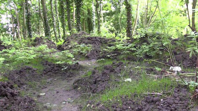 Terres émergées, installation paysagère d'Elise & Martin Hennebicque - Festival Art Villes et Paysage - Hortillonnages 2