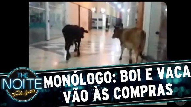 Monólogo: Boi e vaca fazem compras em shopping