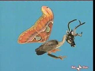 Art attak - Nill 24-06-2006