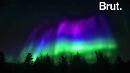 L'équilibre de la planète en danger sans la Taïga