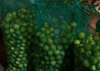 Operativo realizado en el mercado de transferencias en Guayaquil