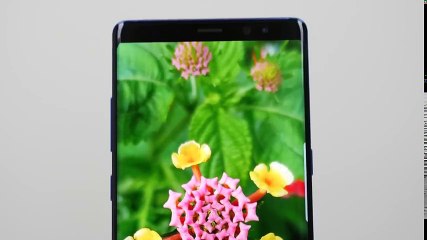 iPhone X vs Samsung Galaxy Note 8