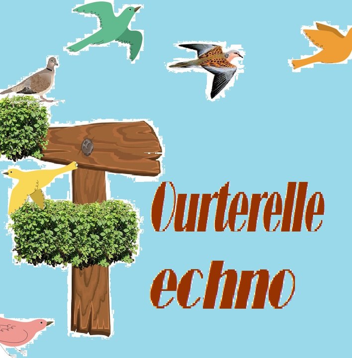 Tourterelle Techno - DJ-JP