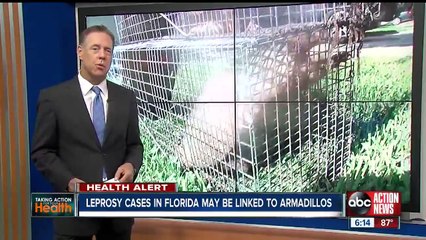 Fla. leprosy cases may be linked to armadillos