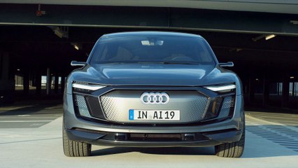 Audi Elaine (Extérieur)