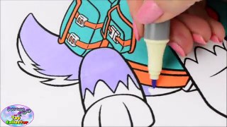 Paw Patrol Coloring Book Everest Episode Show Surprise Egg and Toy Collector SETC