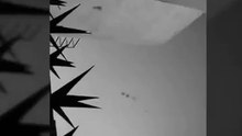 strange sounds from the sky