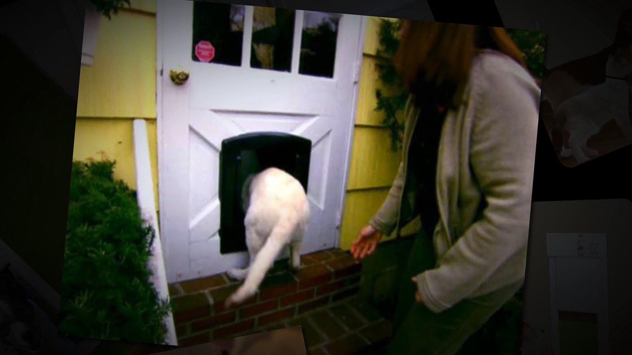 Best Electronic Pet Door