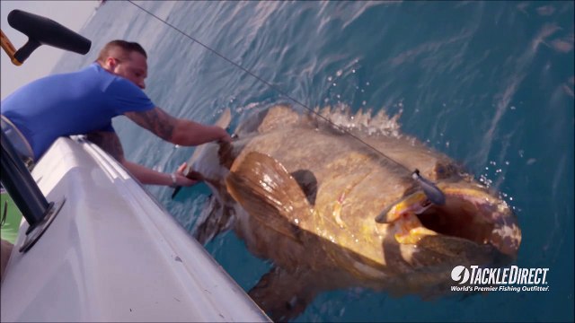 Il peche un mérou géant... Regardez la taille du poisson