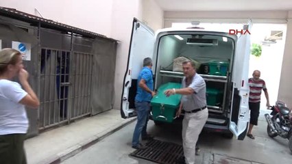 Mersin 5 Yaşındaki Suriyeli Çocuk Bıçaklanarak Öldürüldü