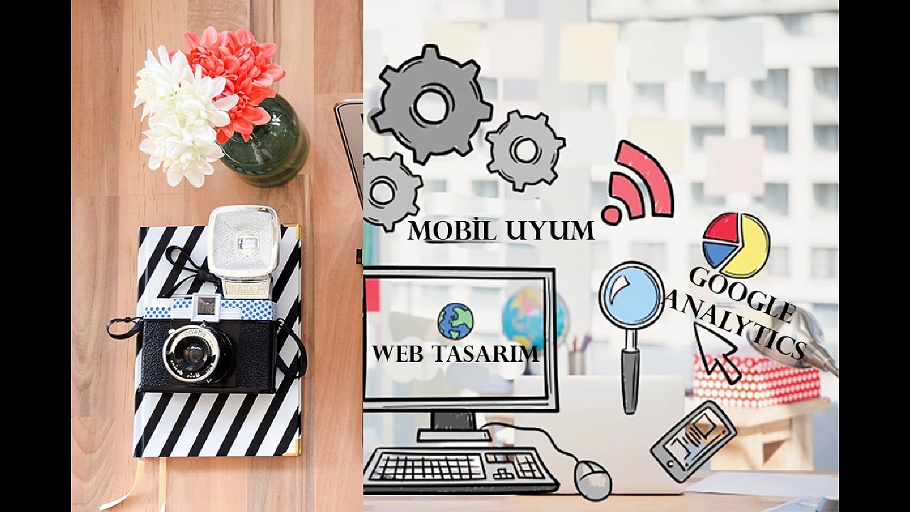 Web tasarım ve seo hizmetleri