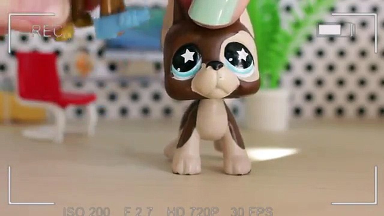 Avril sots disparu farces spécial mal Lps |