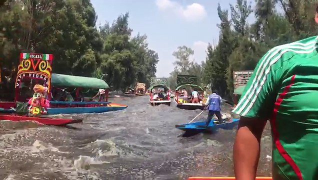 Terremoto en Mexico 2017 - Ciudad de México 19 de Septiembre 3