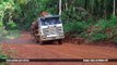 Caminhões ao Extremo #71 ESPECIAL GALERA DA MADEIRA #BR