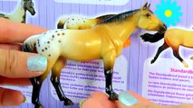 Breyer Horses Horse Crazy Shadow Box Set Stablemates with 10 Models Review Video